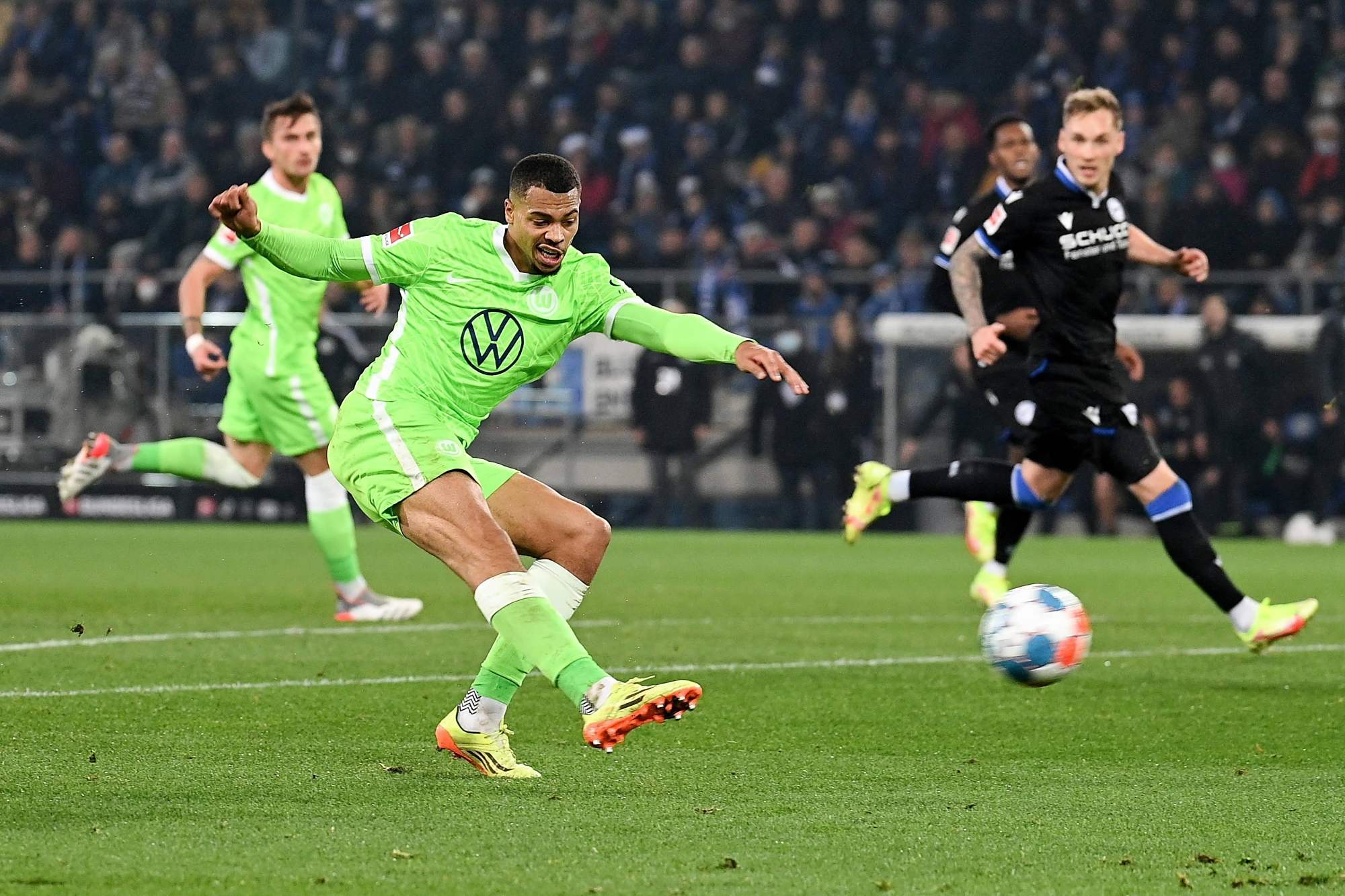 公益属性 公益属性